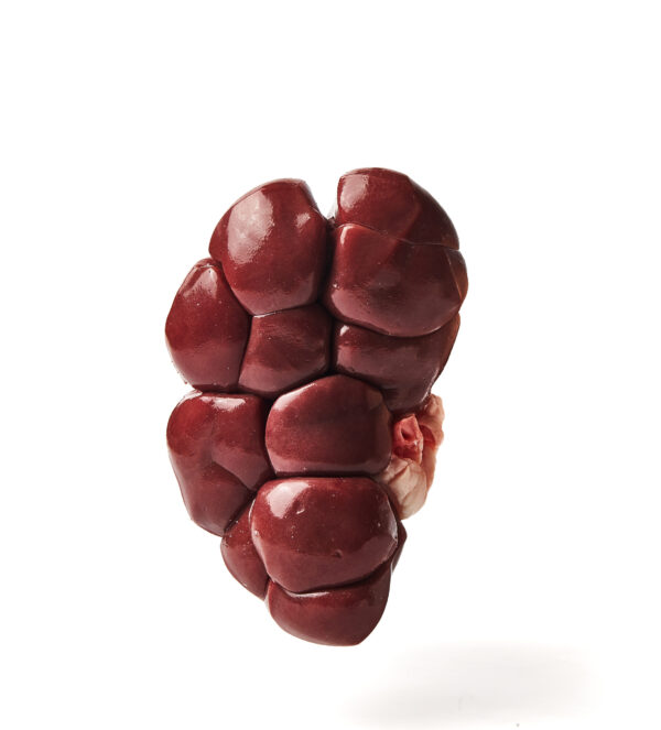 RIÑON DE RES - frigferjenmar.com